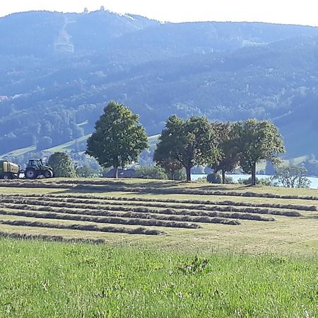 Hideaway Apartman Zell am Moos Kültér fotó